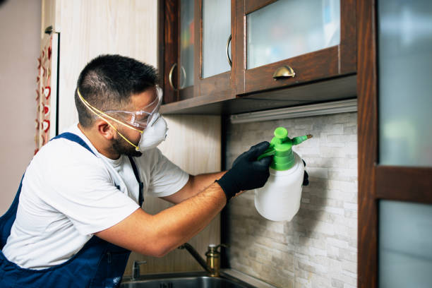 Pest Prevention Services in New Franklin, OH