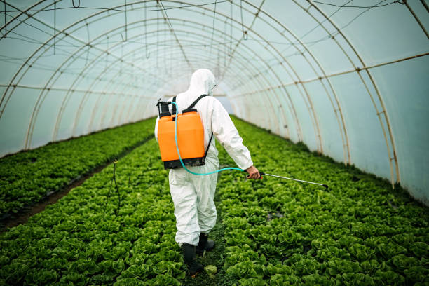 Best Affordable Pest Control Services  in New Franklin, OH