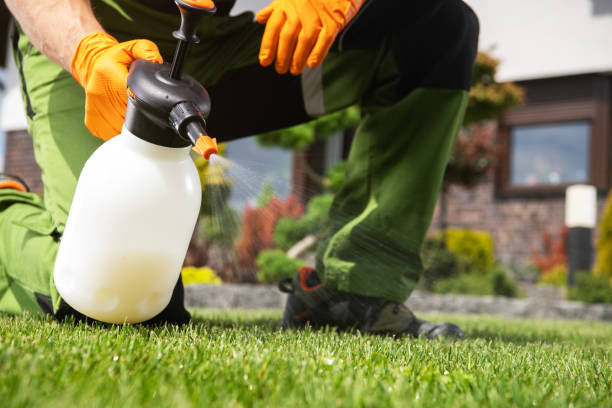 Best Emergency Pest Control  in New Franklin, OH