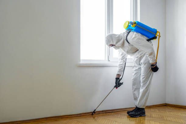 Best Pest Removal Services  in New Franklin, OH
