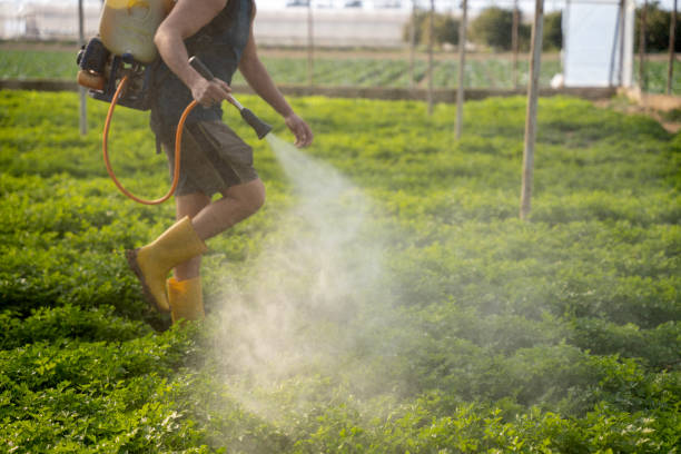 Best Mosquito Control Services  in New Franklin, OH