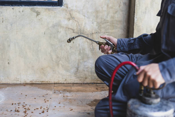 Best Local Pest Control Services  in New Franklin, OH