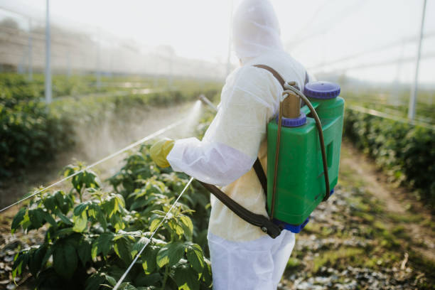 Best Pest Control Near Me in New Franklin, OH